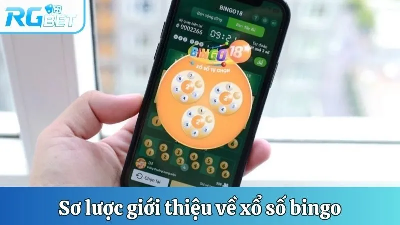 Sơ lược giới thiệu về xổ số Bingo 